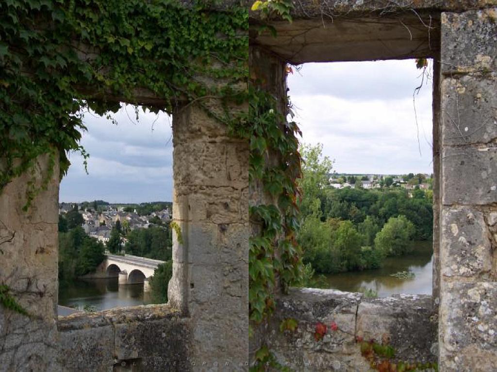 149 CHATEAU DE MONTREUIL BELLAY MAINE ET LOIRE 2016_000058.jpg